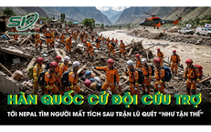 Thủ Tướng Ghi Nhận Đề Xuất Hỗ Trợ Gạo Từ Hiệu Trưởng Ở Điện Biên