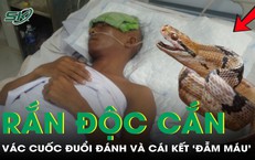 Sỏi thận lớn hơn 1 cm: Hiểu rõ rủi ro và cách tiếp cận thông tin y tế
